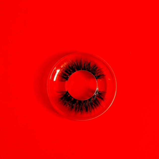 jenvierjacubs Elegant Eyelashes